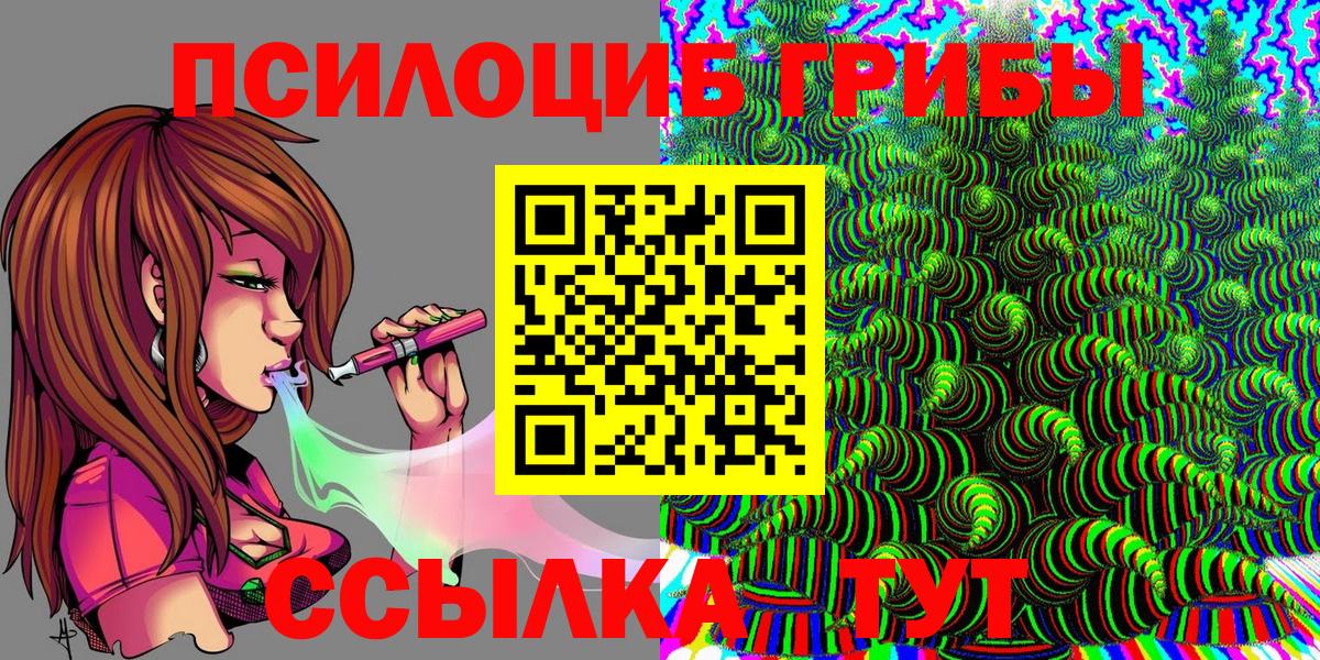 Дубна  Псилоцибиновые грибы Cubensis  Вход с VPN 