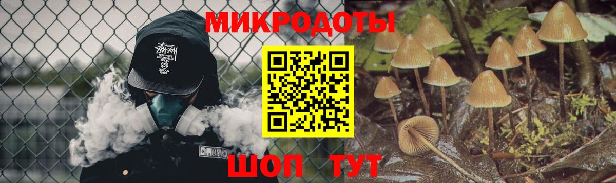 Псилоцибиновые грибы мицелий Дубна